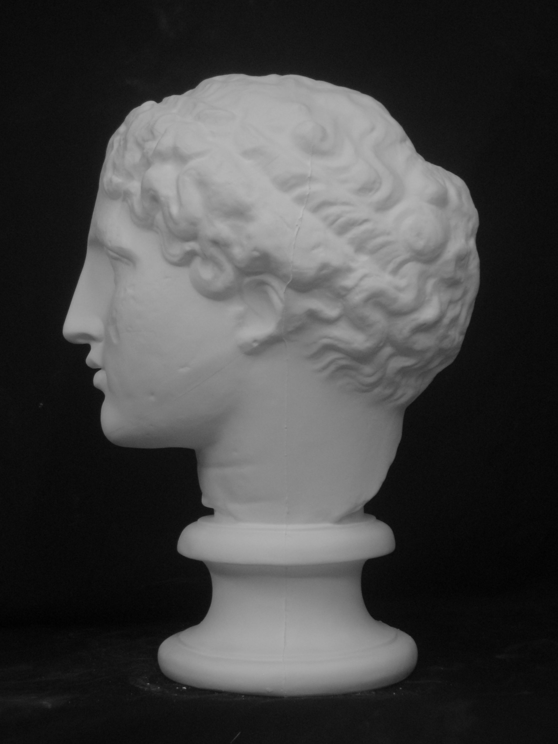 Amazon.co.jp: 石膏像 S－202 パルテノン首像（ラボルト） H