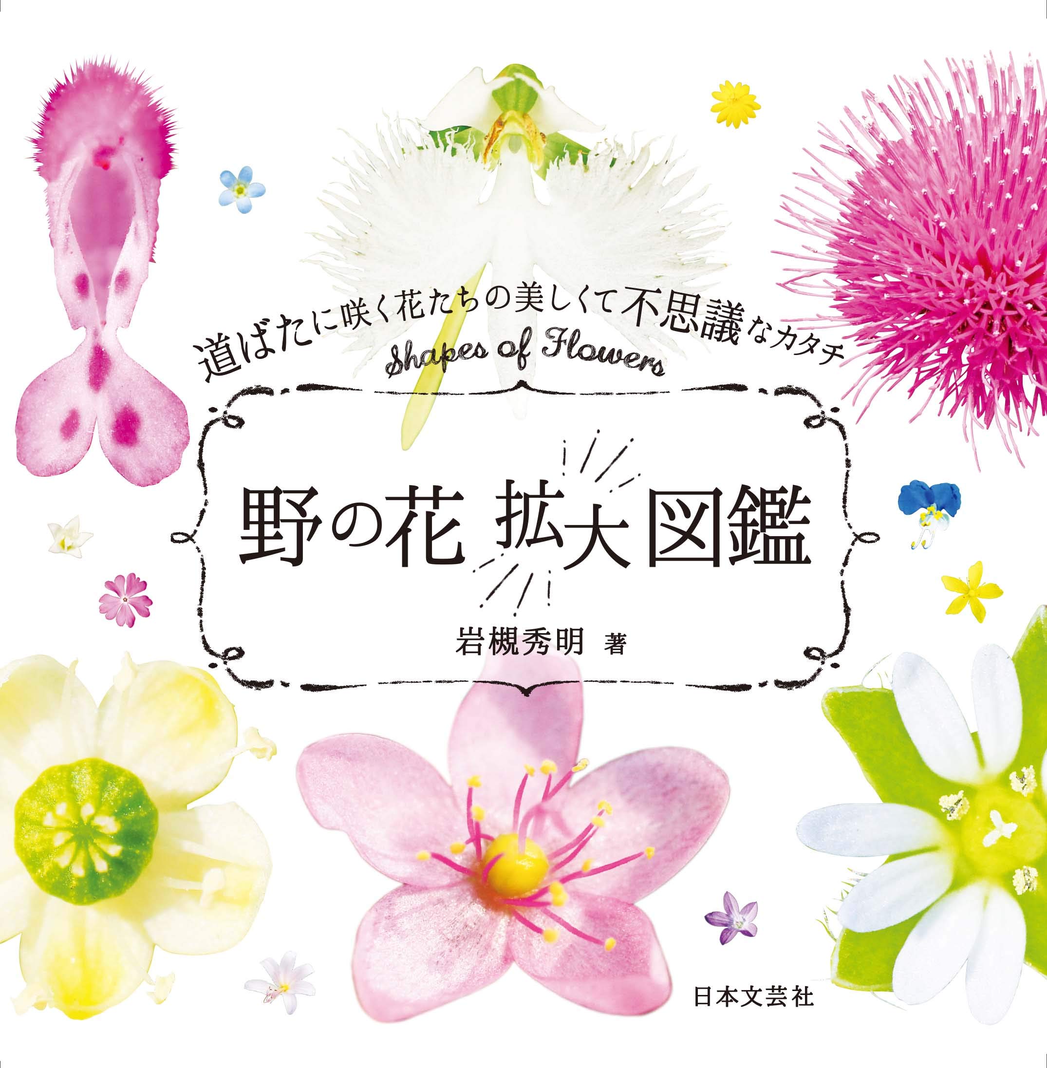 Amazon.co.jp: 野の花 拡大図鑑: 道ばたに咲く花たちの美しくて不思議