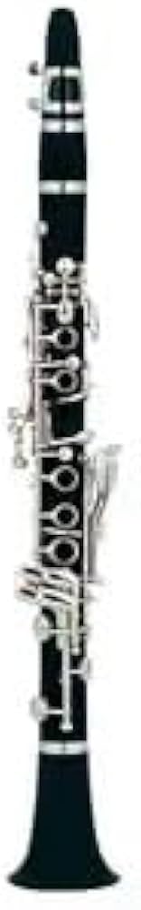 Amazon | PLAYTECH (プレイテック) エスクラリネット 樹脂製管体