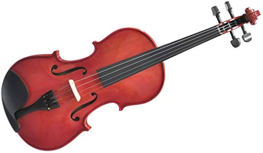 Amazon | PLAYTECH (プレイテック) バイオリン エントリーモデル 4/4