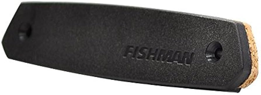 Amazon | FISHMAN (フィッシュマン) アコースティックギター用