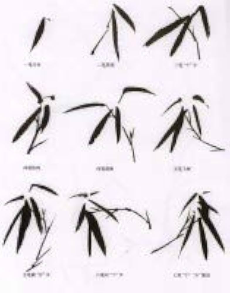 竹の描き方 呉昌碩と斉白石から学ぶ中国画技法書 中国絵画/画竹 向大师