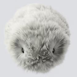 Amazon | カシオのAIペット moflin(モフリン) シルバー | ロボット