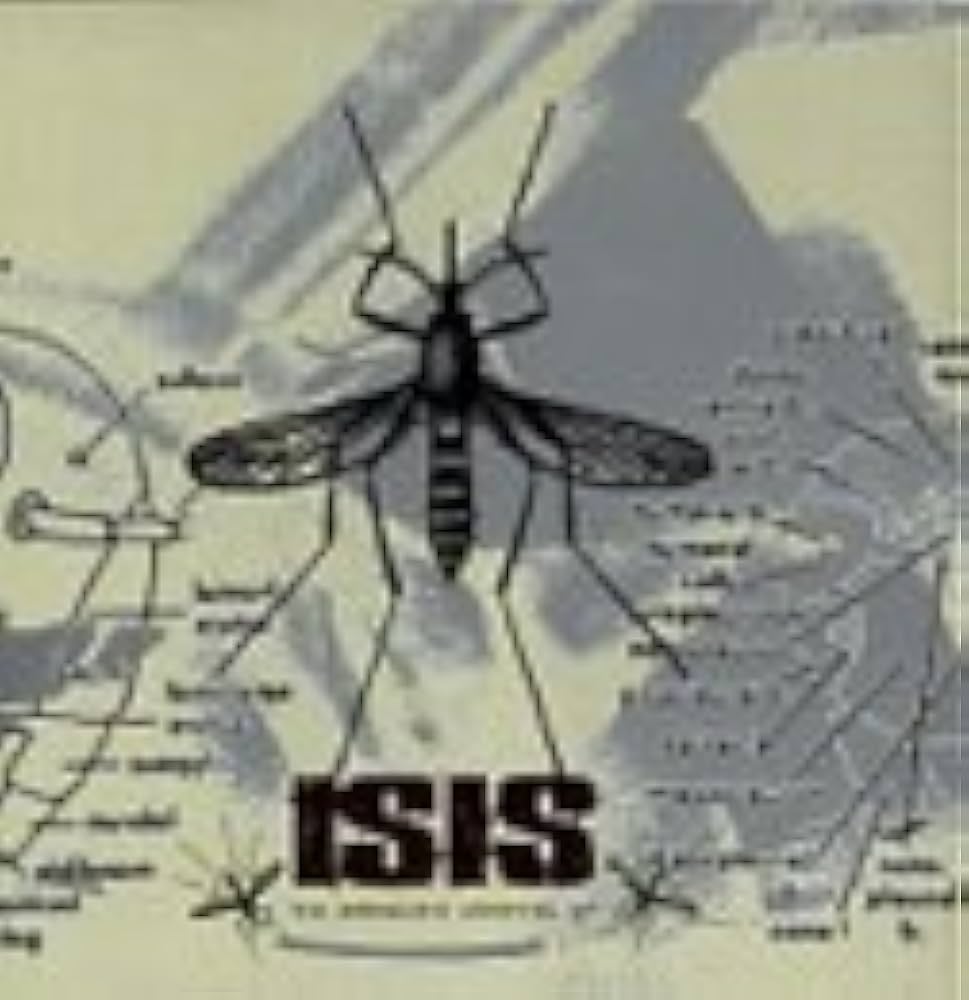 Mosquito / Wants your blood 激レア サイコビリー Mosquito / Wants