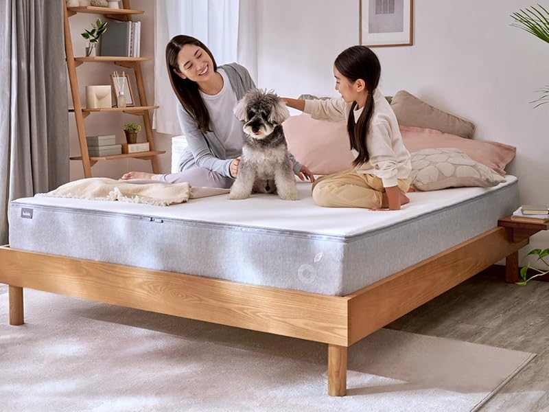 Amazon.co.jp: koala (R) マットレス クイーン 【コアラマットレス