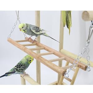 Amazon | 鳥アスレチック バードアスレチック インコ 遊び場 止まり木