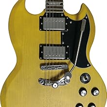 Amazon.co.jp: Goldo(ゴルドー) Les Trem LPタイプギター用トレモロ