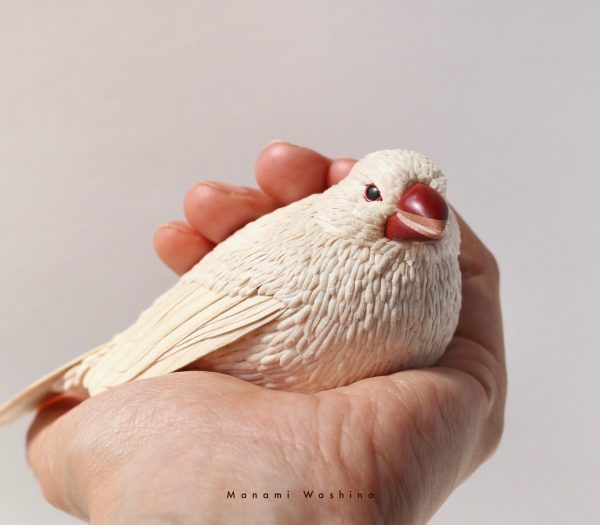 白文鳥 | 鷲野愛未ショップ Manami Washino Shop