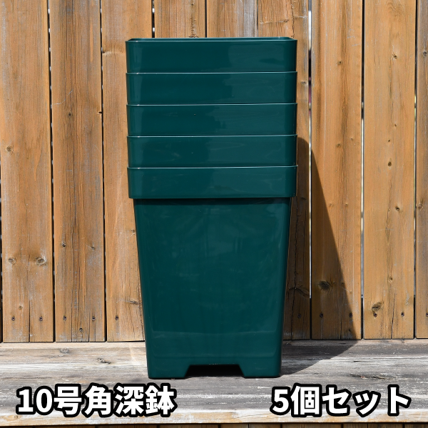 10角×5鉢セット】プレミアローズセレクション【10号角深鉢5鉢セット