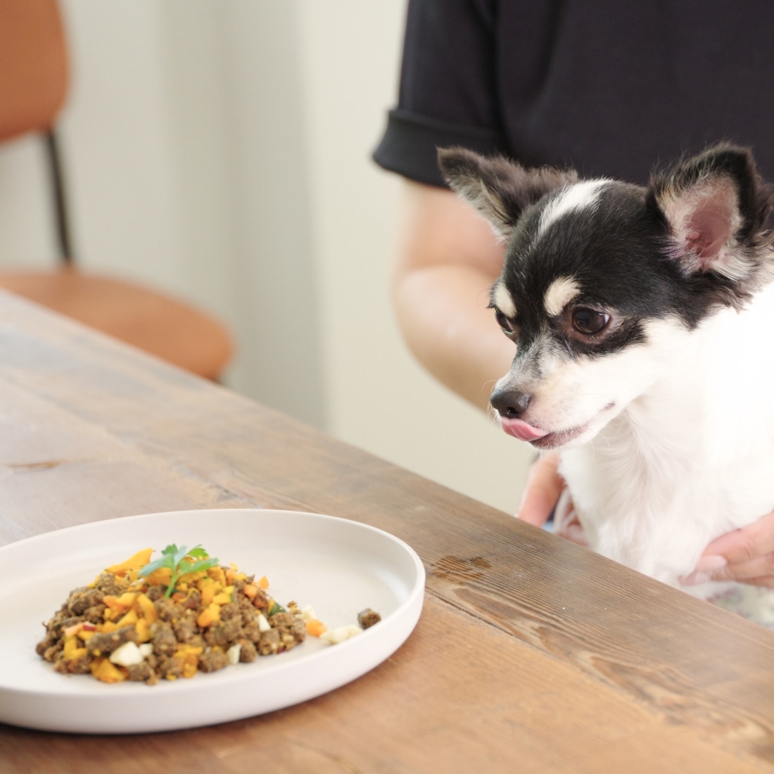 鹿肉60%ドライフード | ドライフード | TASHIKA