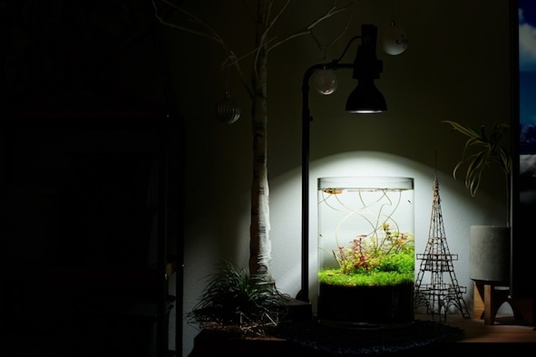 AMATERAS 10W 植物育成用LED｜ピクタ公式通販