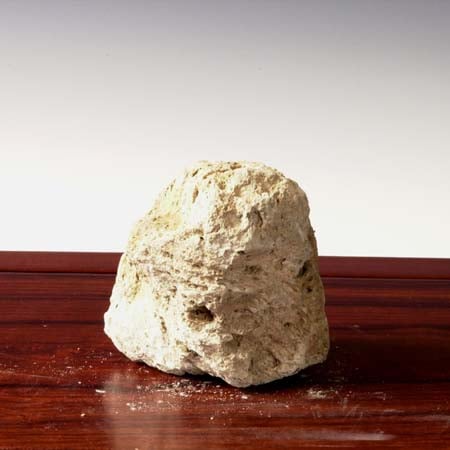 資材：軽石（穴なし）M* 13cm | 水石・飾り石,軽石・付け石 | 遊恵