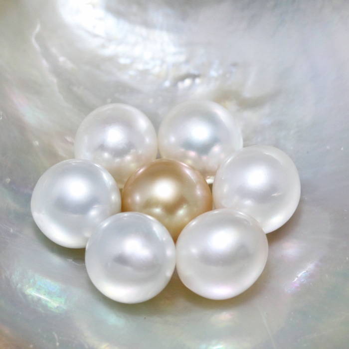 本真珠南洋白蝶真珠ゴールドとホワイト双色s925ペンダントBEN901