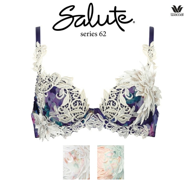 希少✨☆ワコール サルート F65・M☆62G 【公式通販】