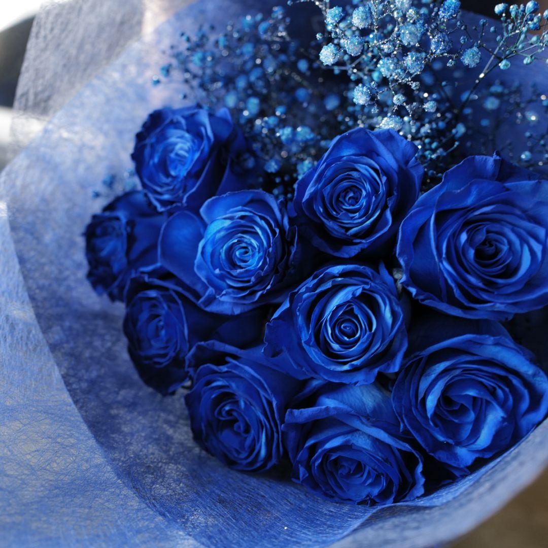 青いバラ 10本の花束 | バラ・生花,青いバラ,花束 | ROSESHOP 青いバラ
