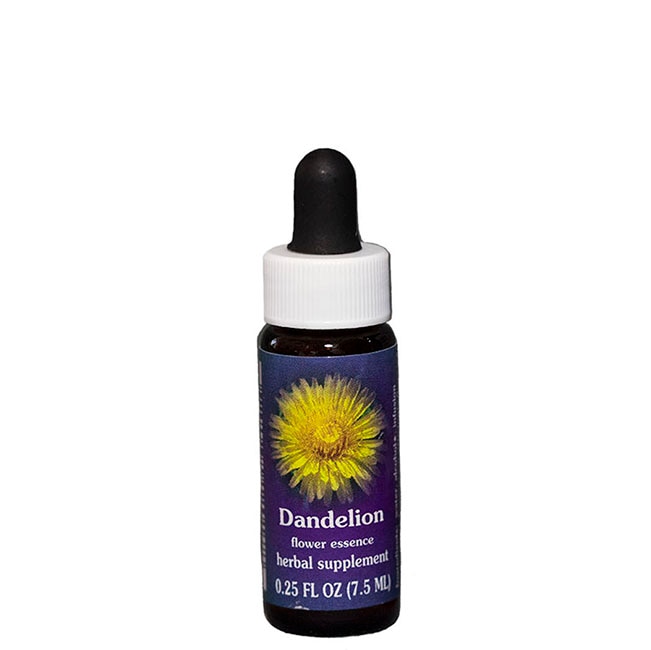 ダンディライオン7.5ml[Dandelion] | ブランド一覧,FES