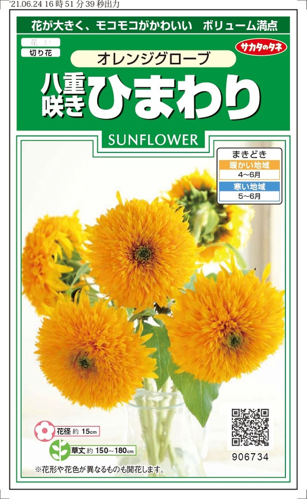 サカタのタネ「八重咲きヒマワリ オレンンジグローブ」のタネ [内容量