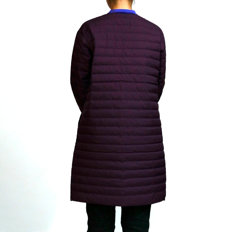 ノースフェイス ウィンドストッパーゼファーシェルコート（レディース