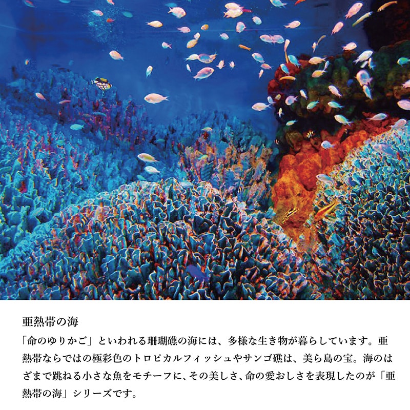 亜熱帯の海グラス(ペア) | すべての商品 | 琉球ガラス村 (TS CUBIC