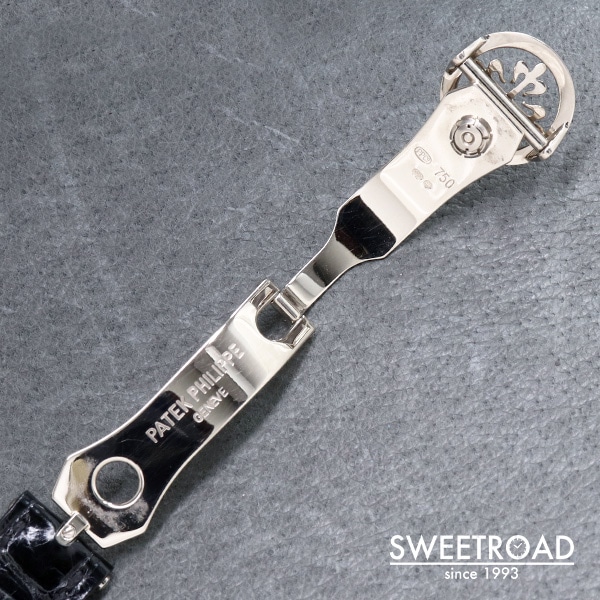 パテック・フィリップ ワールドタイム 18KWG Ref.5110G アーカイブ付き