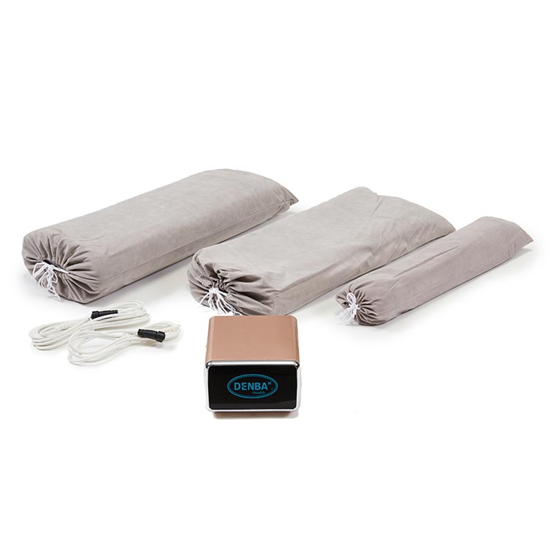 DENBA Health スタンダードの通販｜美セラ