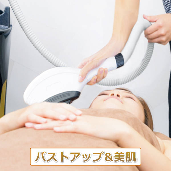 ProLight Premium2 脱毛 セルフ/サロンモード切替の通販｜美セラ