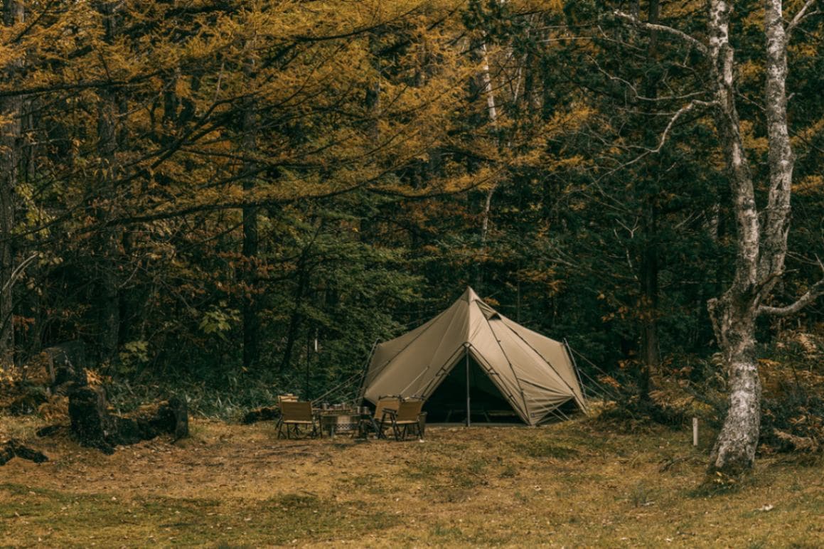 ZANE ARTS)ゼインアーツ ゼクーM TC | アウトドアブランド(T-Z),(ZANE