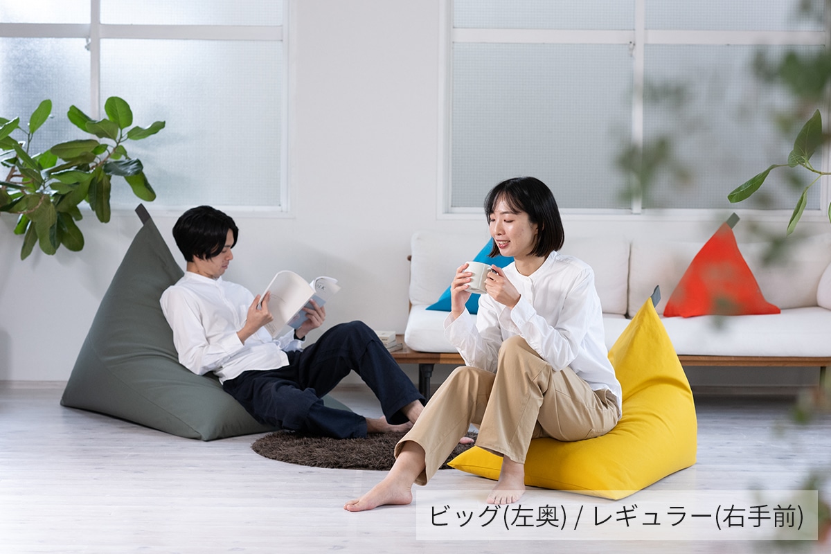 tetra 8号帆布 ビーズクッション テトラ 【レギュラーサイズ