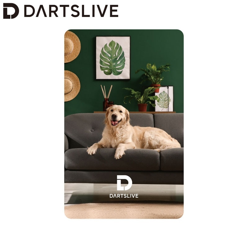 新品 THE WORLD 2019限定 L-style ダーツライブカード アクセサリ > ダーツライブカード > ダーツライブ20周年記念 復刻版