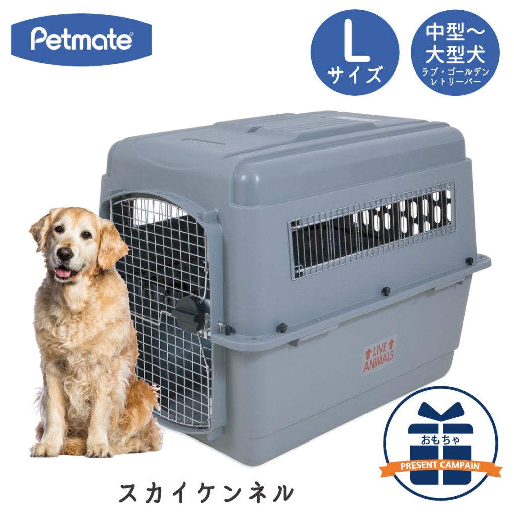Petmate スカイケンネル Lサイズ | Dog,クレート・キャリー,大型犬用