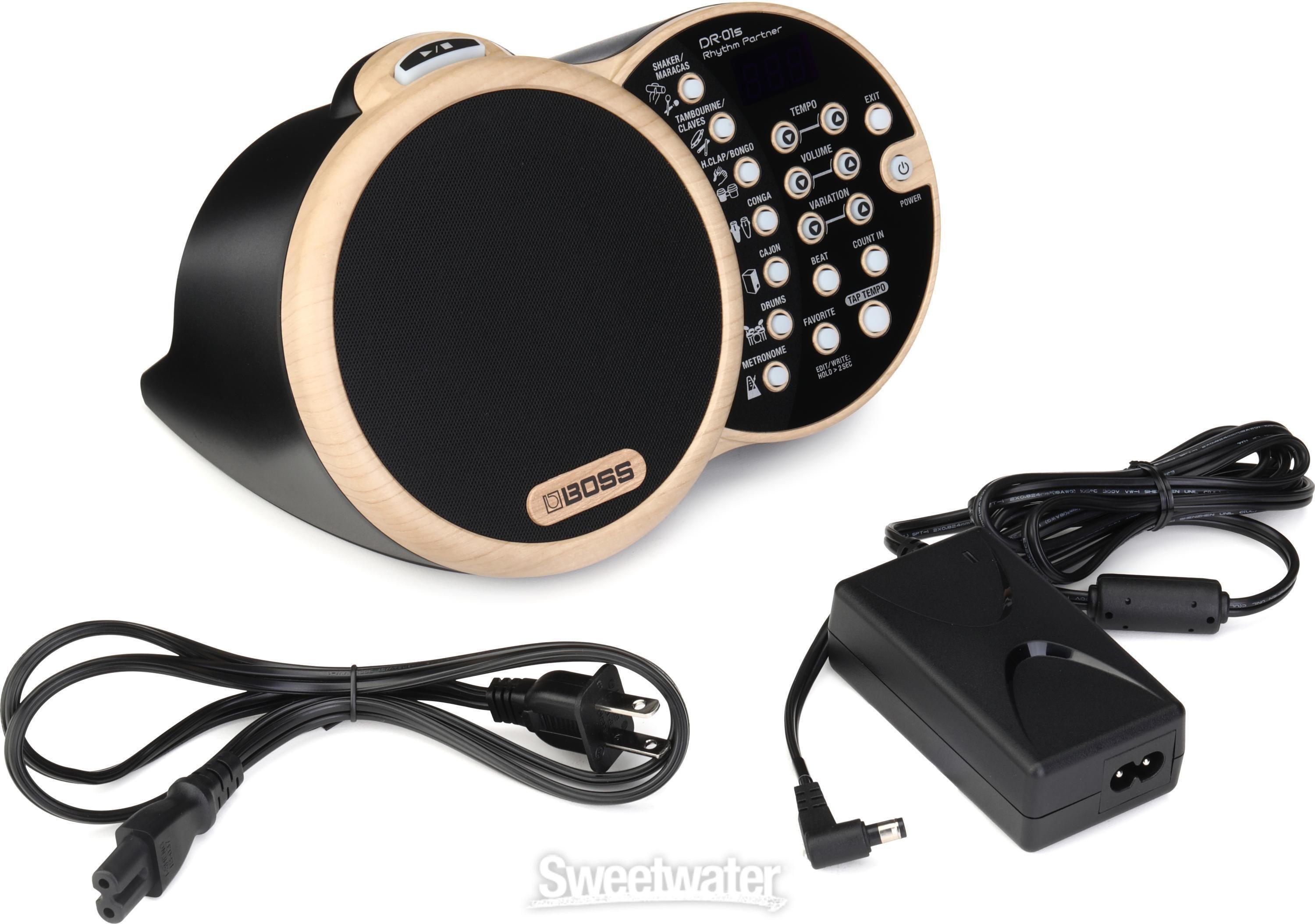 Boss DR-01S Rhythm Partner Performance Groove Machine | Sweetwater