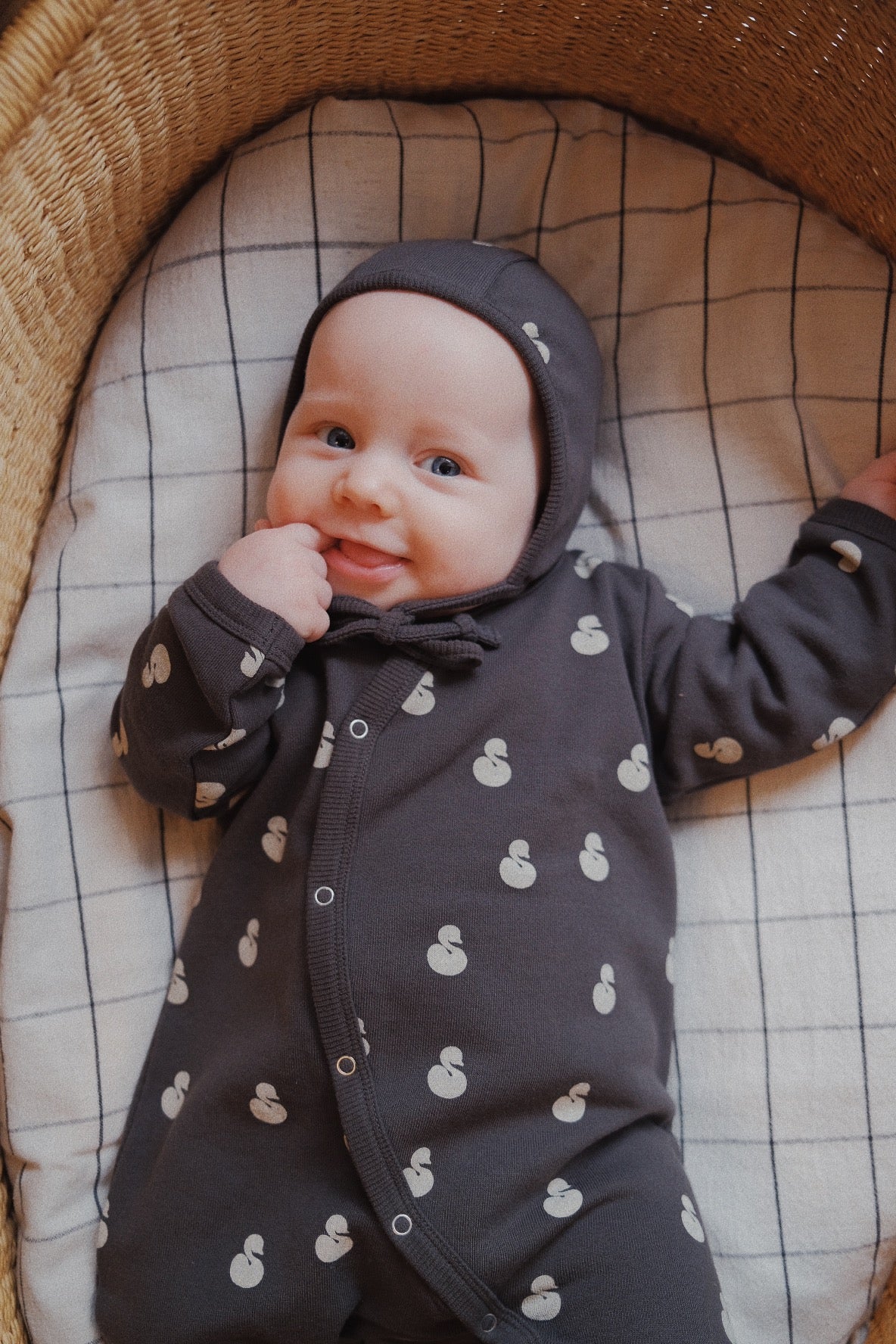 BLACK SWAN – melted butter