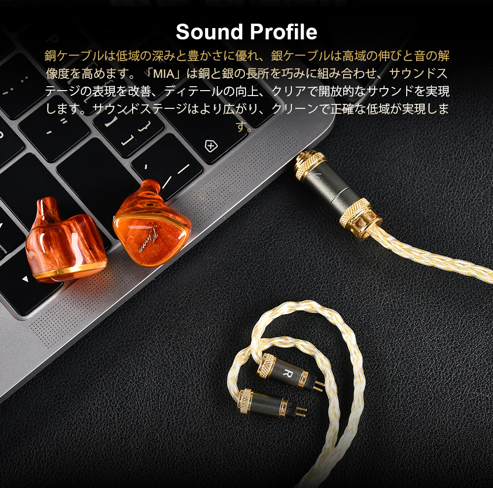 KINERA MIA アップグレード・リケーブル スイッチ式インターフェイス