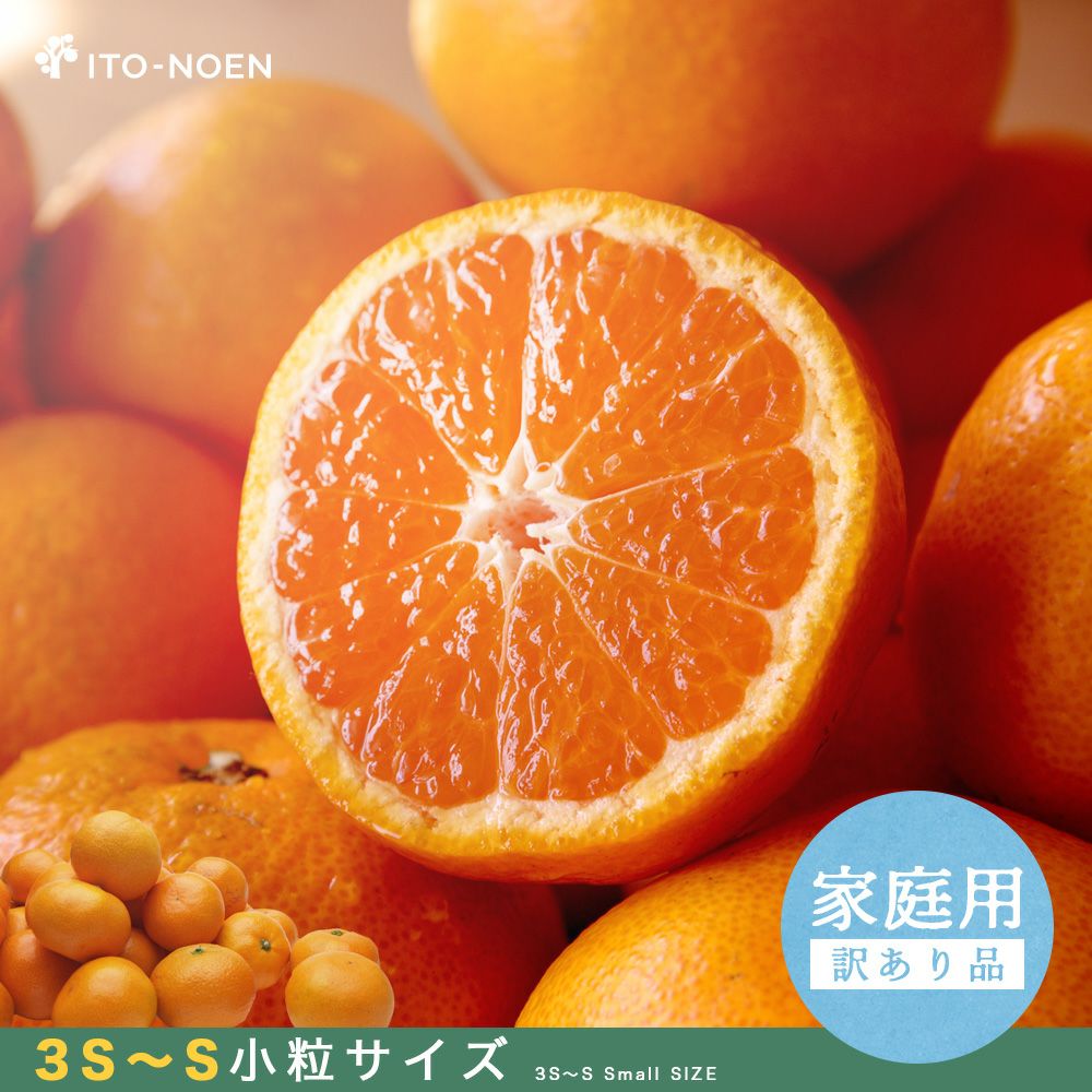 お届け定が選べる♪｜お届け予定より発送予定】有田みかん小粒サイズ