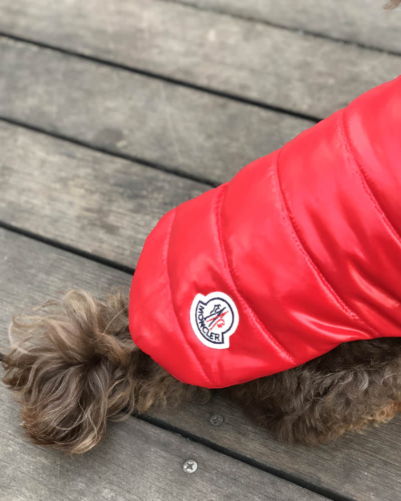 モンクレール MONDOG 犬用ダウン2WAY 在庫商品 - モンクレール(MONCLER