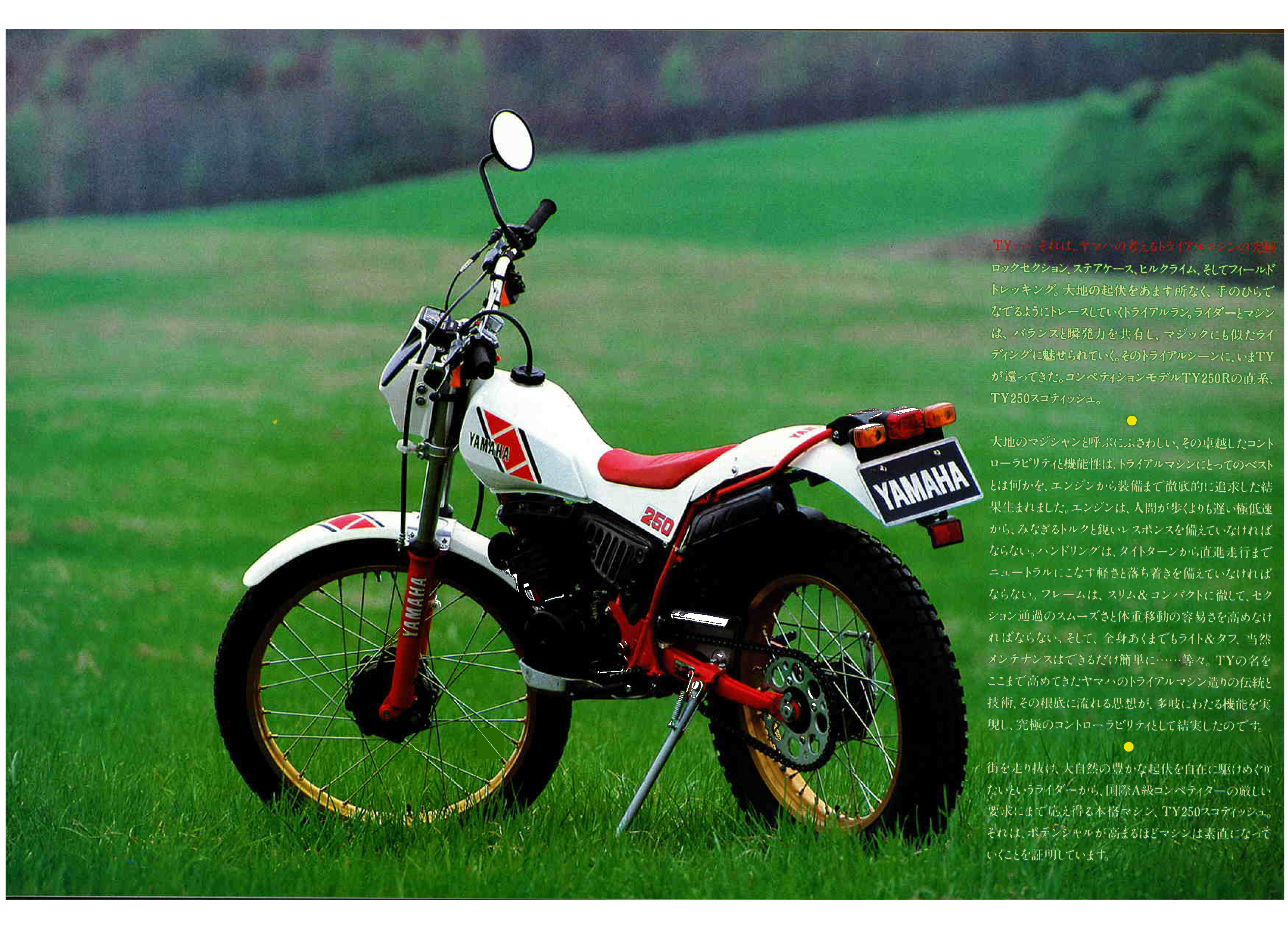 高山さんのバイク承前啓後 第36回 バイアルスTL125誕生50周年記念