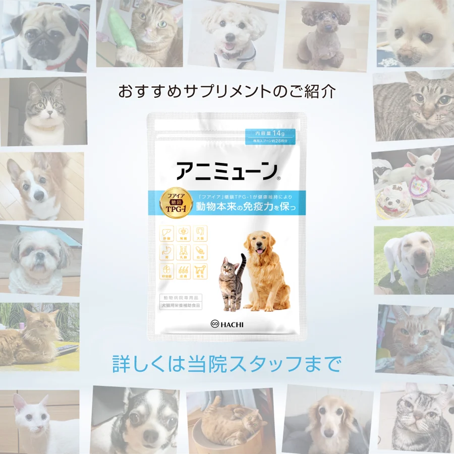 動物本来の免疫力を保つサプリメント アニミューン - まむ動物