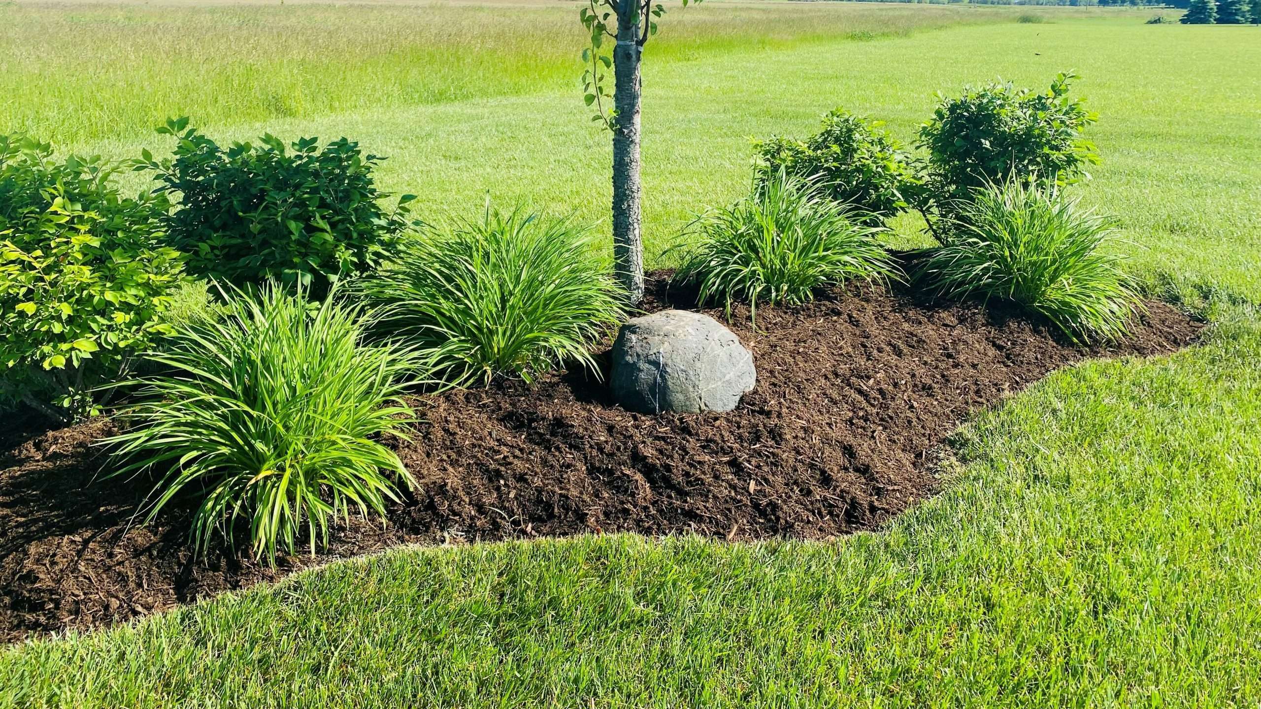 Midi® Hardwood Bark Mulch - Musselman Landscaping | Indianapolis