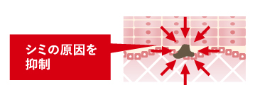 薬用美白]オールインワン プラチナホワイトクリーム 40g | ルソイル