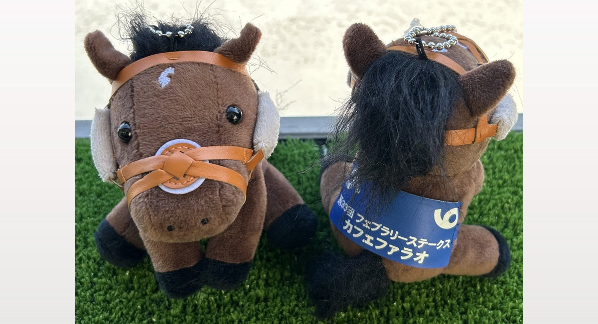 アイドルホース・年度代表馬ドウデュース（M＆Sセット）を2名様に