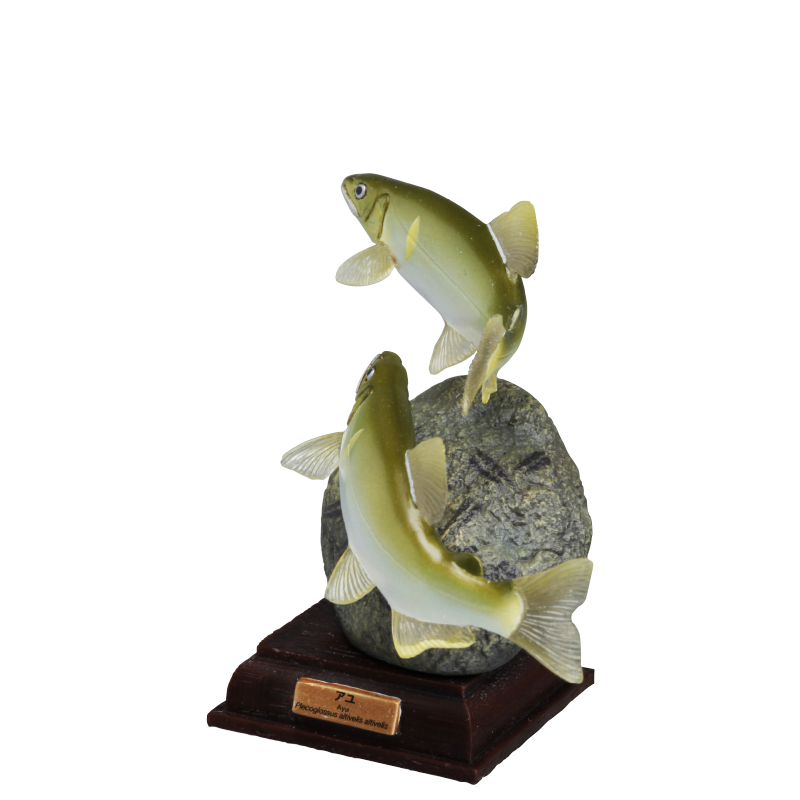 NTC 日本の清流 増補特装版 – ネイチャーテクニカラー公式