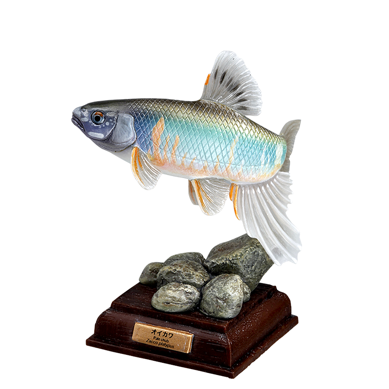 日本の清流 特装版 CLEAR STREAMS IN JAPAN – ネイチャーテクニカラー公式