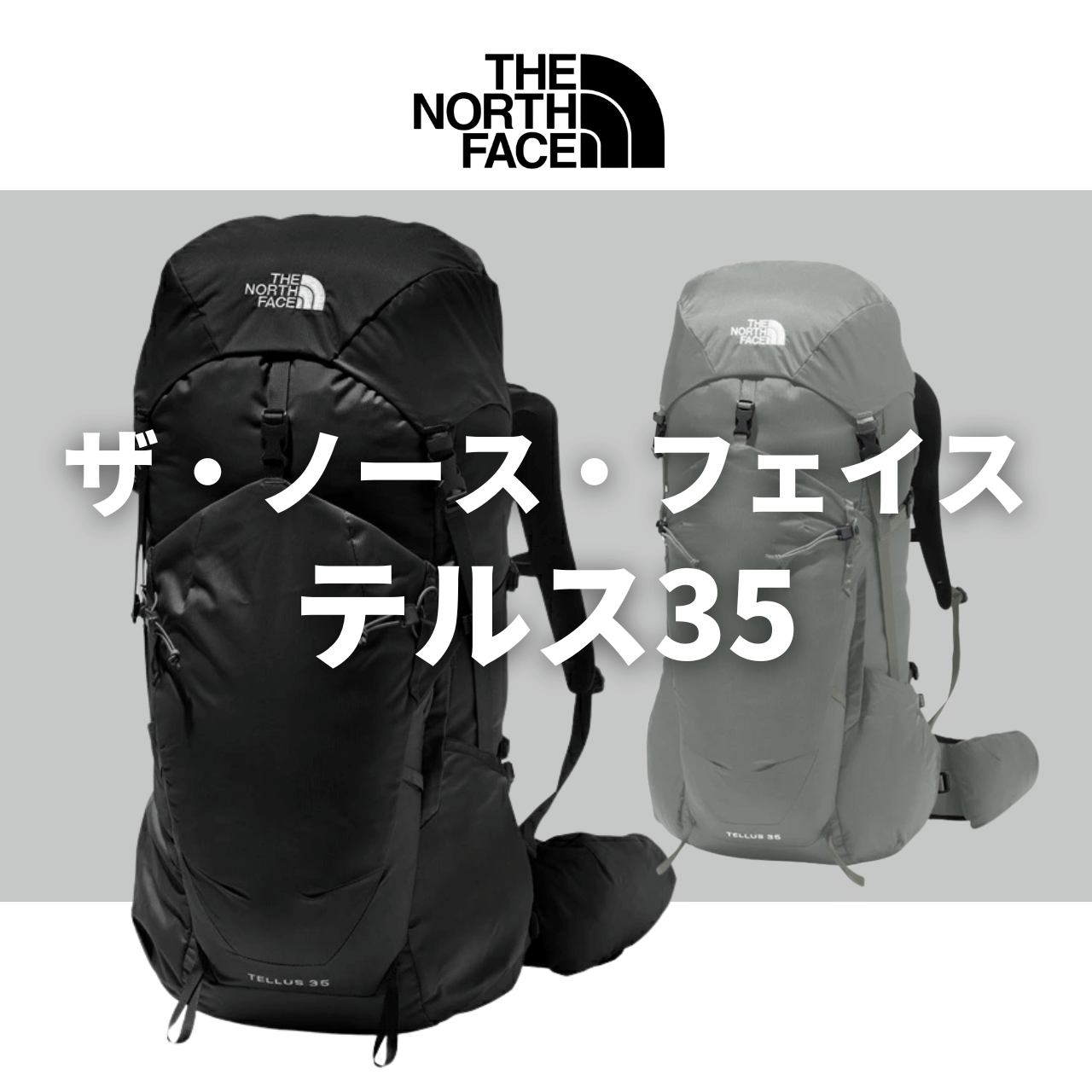 普段使いOK?】テルス35(ノースフェイス)の実力は？機内持ち込み可否