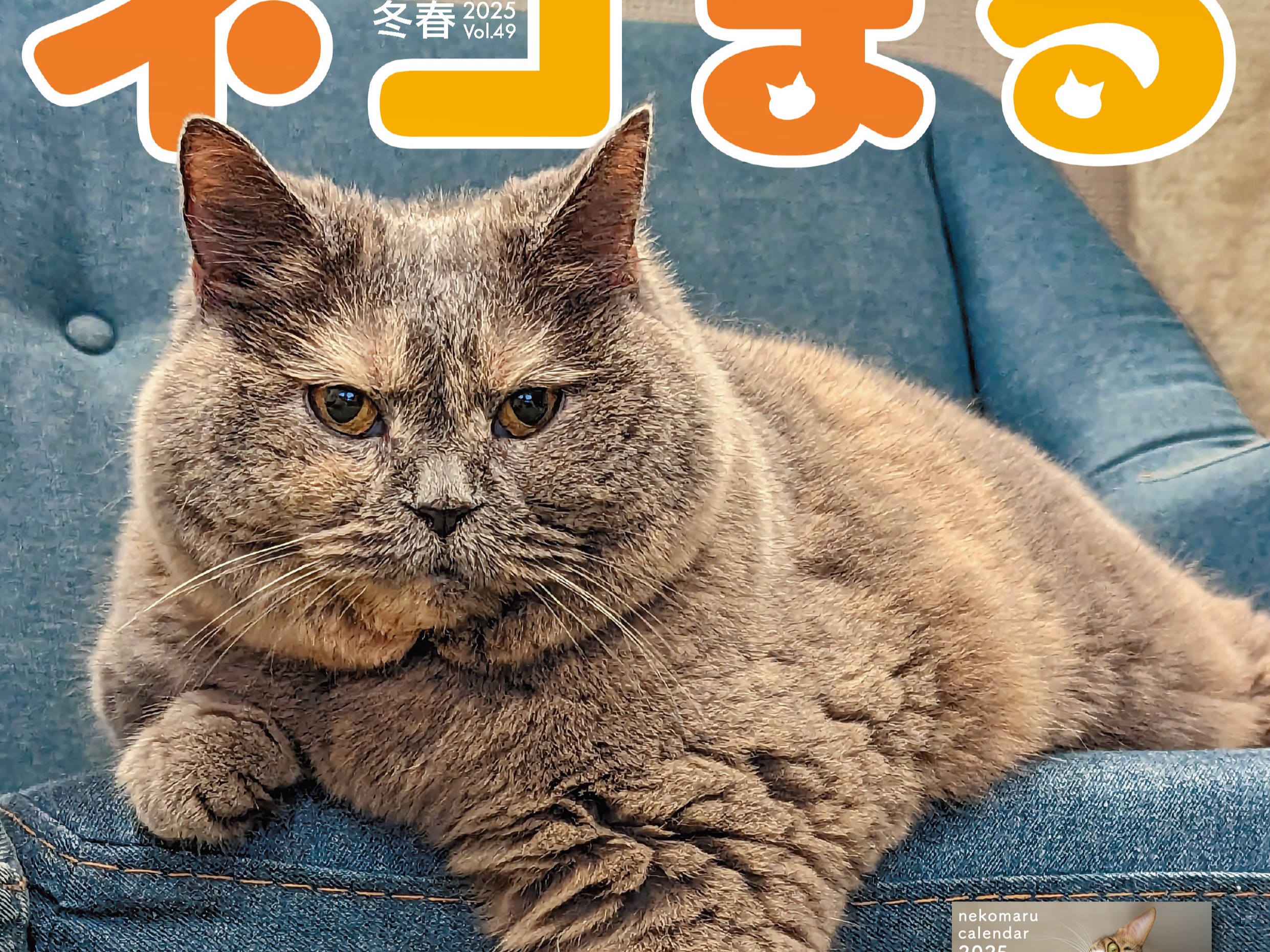 nekomaru49_H1tori.jpg