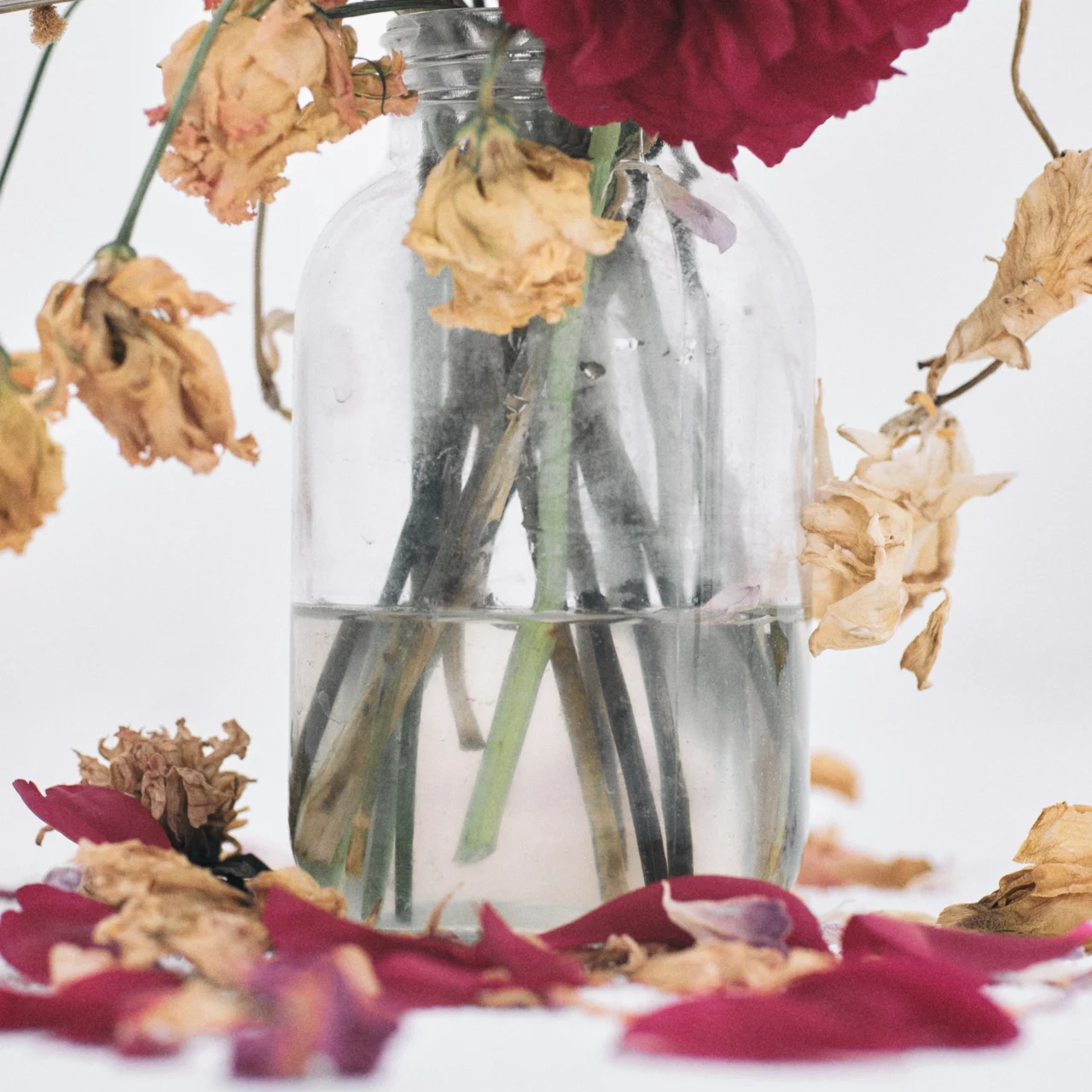 唾奇のソロ1stアルバム『Camellia』8月リリース、ジャケット写真も公開