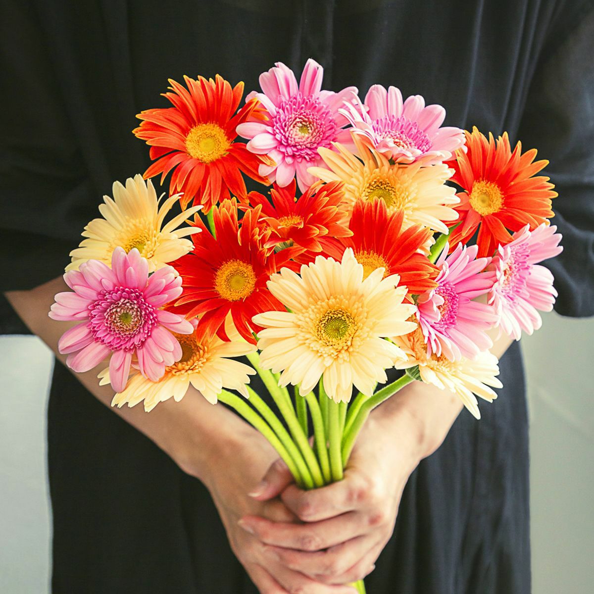 もったいない花いちばガーベラ(15本) /1-4色アソート | noemie（ノエミ）