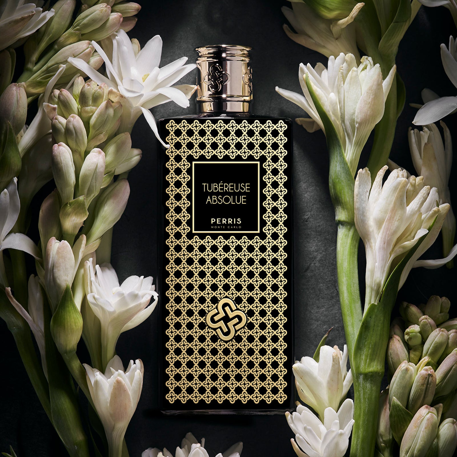 チュべルーズ アブソリュ｜チュベローズのアブソリュート – NOSE SHOP