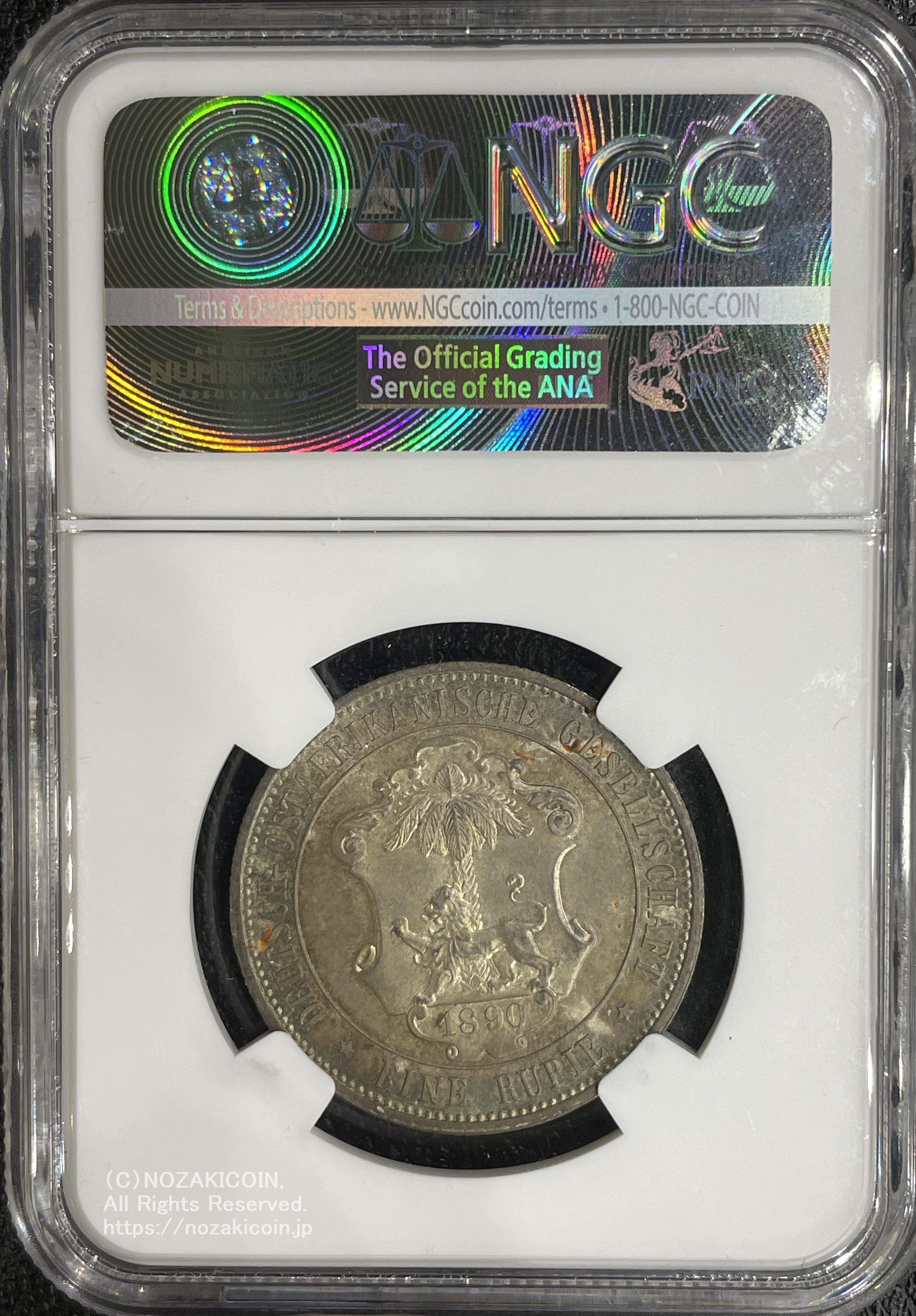 IMG_6198.jpg?v=1705040710