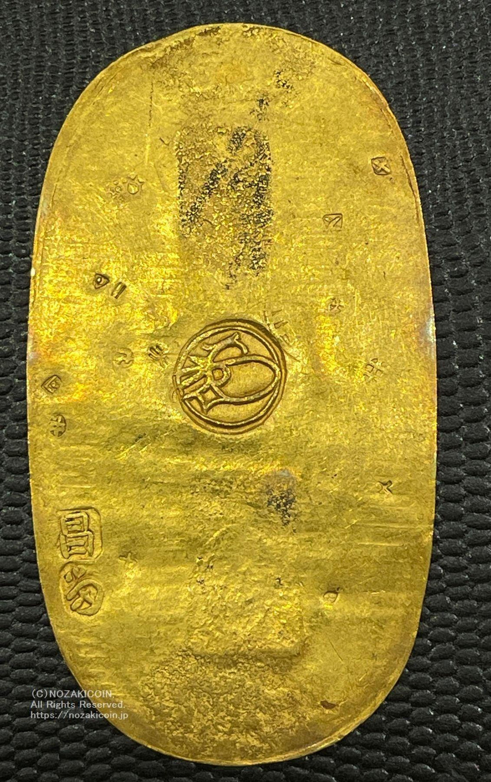 IMG_2872_1000x.jpg?v=1689655878