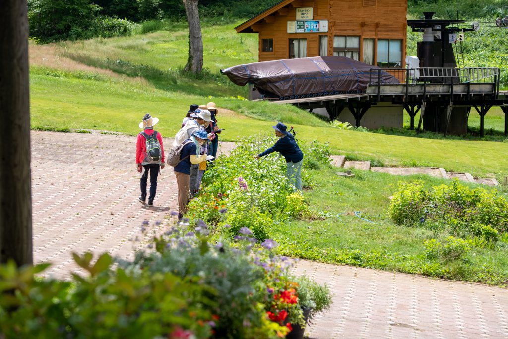 ◇ 樹木医と巡る！上ノ平ピクニックガーデン『フラワーガイド